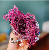 Mermoss | Raw Purple Sea Moss